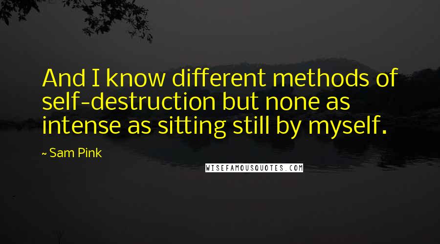 Sam Pink Quotes: And I know different methods of self-destruction but none as intense as sitting still by myself.