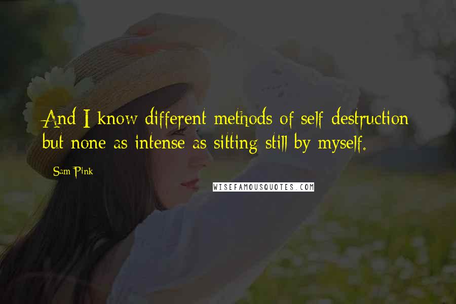 Sam Pink Quotes: And I know different methods of self-destruction but none as intense as sitting still by myself.