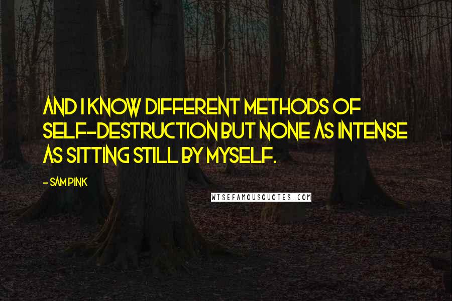 Sam Pink Quotes: And I know different methods of self-destruction but none as intense as sitting still by myself.