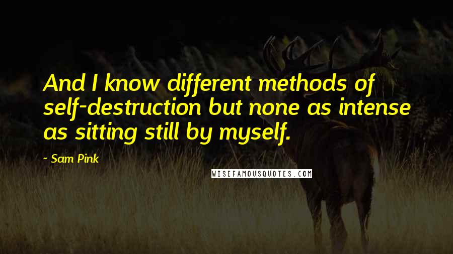 Sam Pink Quotes: And I know different methods of self-destruction but none as intense as sitting still by myself.