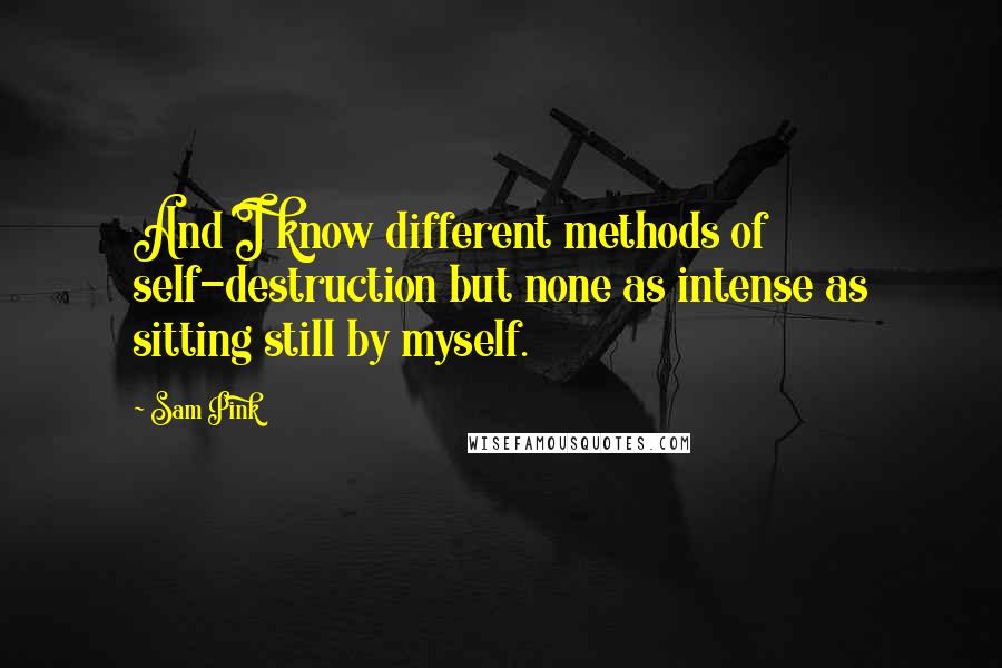 Sam Pink Quotes: And I know different methods of self-destruction but none as intense as sitting still by myself.