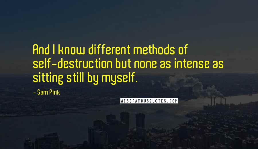 Sam Pink Quotes: And I know different methods of self-destruction but none as intense as sitting still by myself.