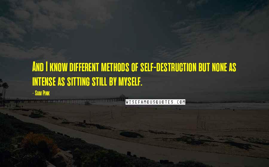 Sam Pink Quotes: And I know different methods of self-destruction but none as intense as sitting still by myself.