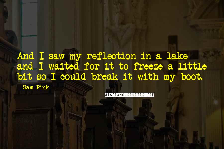 Sam Pink Quotes: And I saw my reflection in a lake and I waited for it to freeze a little bit so I could break it with my boot.