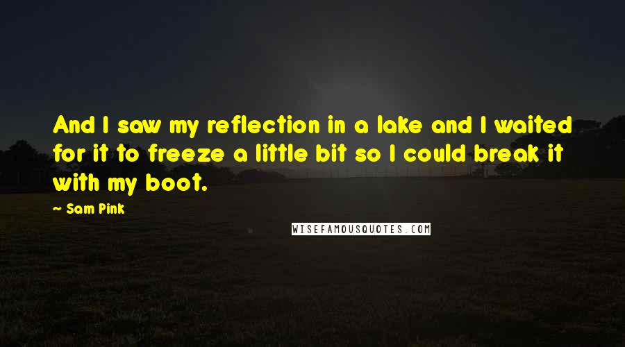 Sam Pink Quotes: And I saw my reflection in a lake and I waited for it to freeze a little bit so I could break it with my boot.