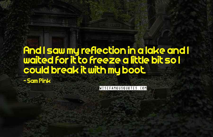 Sam Pink Quotes: And I saw my reflection in a lake and I waited for it to freeze a little bit so I could break it with my boot.