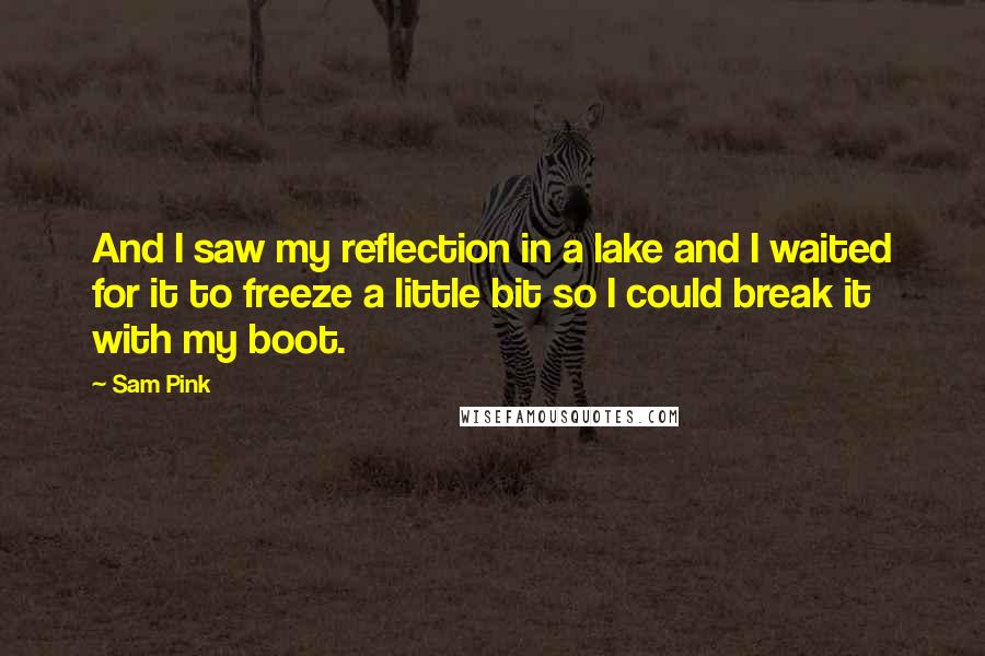 Sam Pink Quotes: And I saw my reflection in a lake and I waited for it to freeze a little bit so I could break it with my boot.