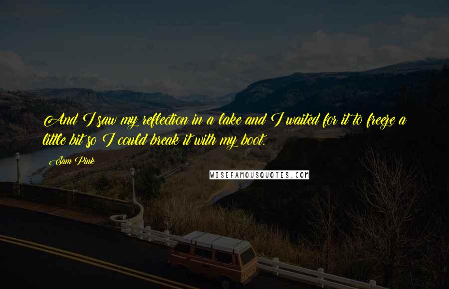 Sam Pink Quotes: And I saw my reflection in a lake and I waited for it to freeze a little bit so I could break it with my boot.