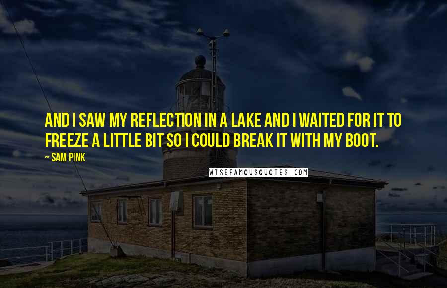 Sam Pink Quotes: And I saw my reflection in a lake and I waited for it to freeze a little bit so I could break it with my boot.