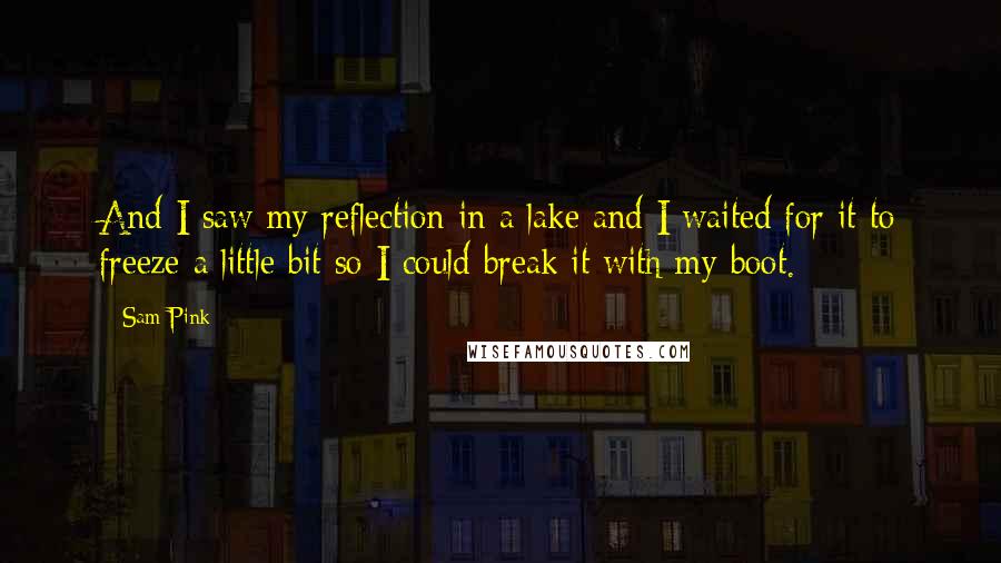 Sam Pink Quotes: And I saw my reflection in a lake and I waited for it to freeze a little bit so I could break it with my boot.