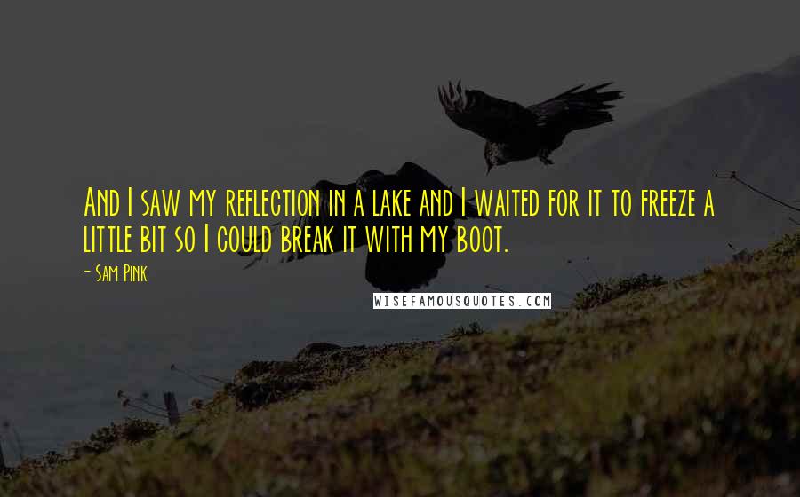 Sam Pink Quotes: And I saw my reflection in a lake and I waited for it to freeze a little bit so I could break it with my boot.