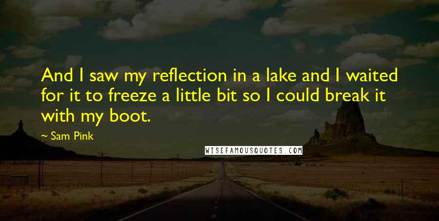 Sam Pink Quotes: And I saw my reflection in a lake and I waited for it to freeze a little bit so I could break it with my boot.