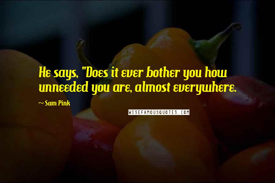 Sam Pink Quotes: He says, "Does it ever bother you how unneeded you are, almost everywhere.