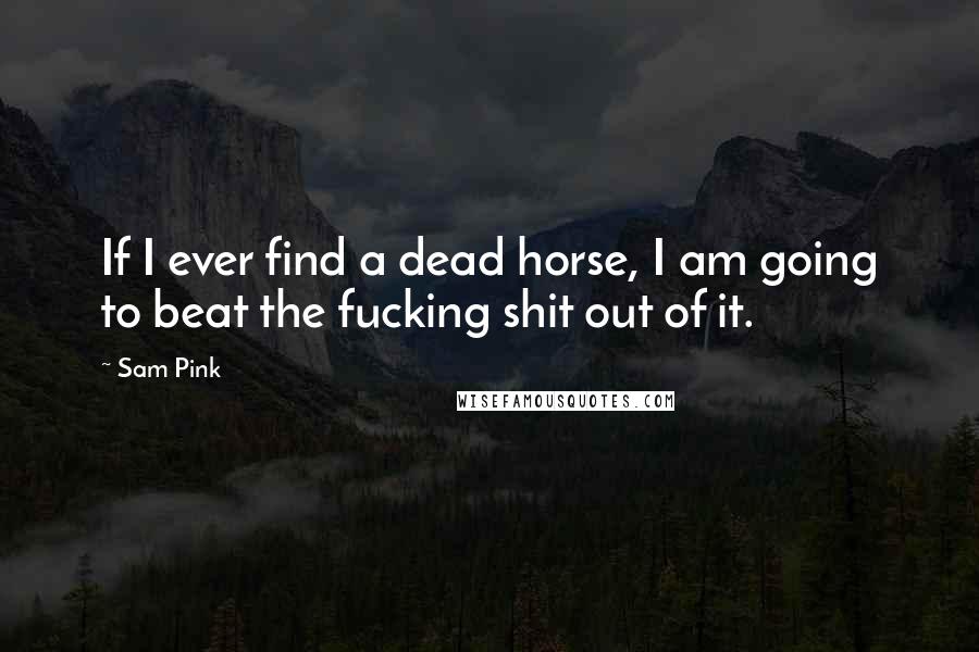 Sam Pink Quotes: If I ever find a dead horse, I am going to beat the fucking shit out of it.