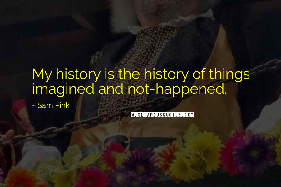 Sam Pink Quotes: My history is the history of things imagined and not-happened.