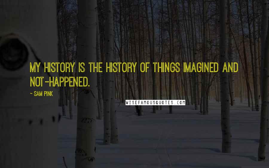 Sam Pink Quotes: My history is the history of things imagined and not-happened.