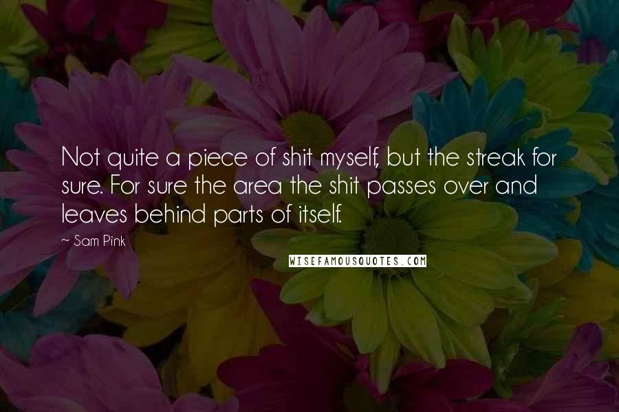 Sam Pink Quotes: Not quite a piece of shit myself, but the streak for sure. For sure the area the shit passes over and leaves behind parts of itself.