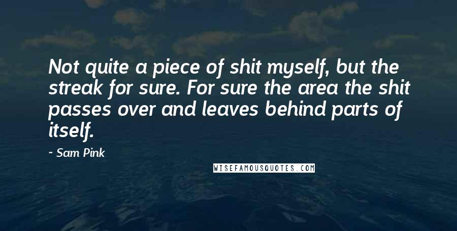 Sam Pink Quotes: Not quite a piece of shit myself, but the streak for sure. For sure the area the shit passes over and leaves behind parts of itself.