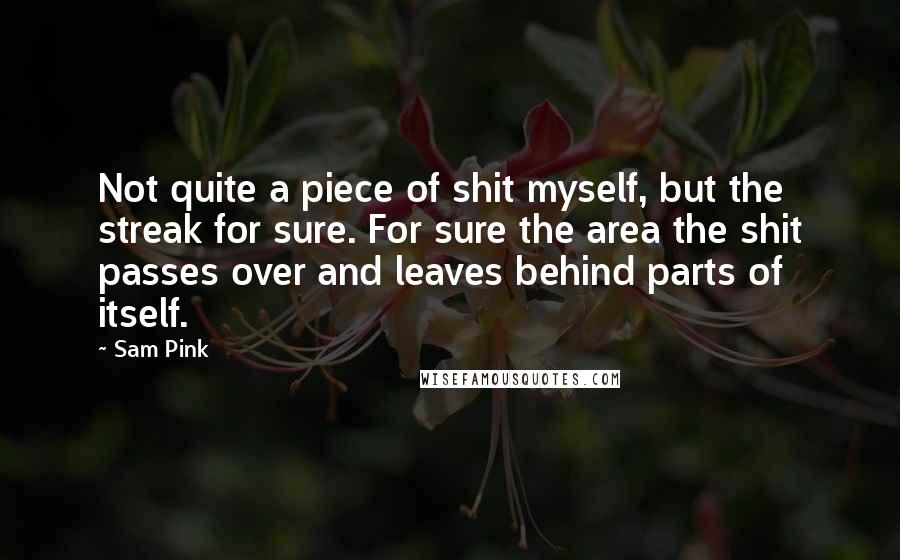Sam Pink Quotes: Not quite a piece of shit myself, but the streak for sure. For sure the area the shit passes over and leaves behind parts of itself.