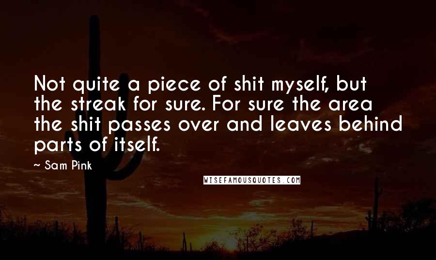 Sam Pink Quotes: Not quite a piece of shit myself, but the streak for sure. For sure the area the shit passes over and leaves behind parts of itself.