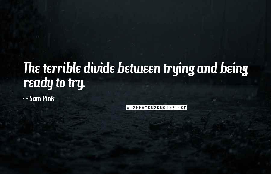 Sam Pink Quotes: The terrible divide between trying and being ready to try.