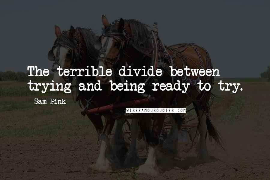 Sam Pink Quotes: The terrible divide between trying and being ready to try.