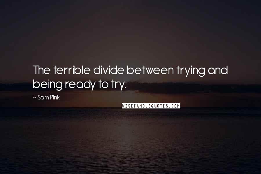 Sam Pink Quotes: The terrible divide between trying and being ready to try.