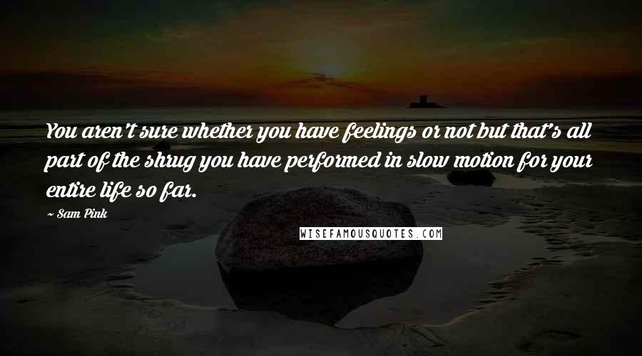 Sam Pink Quotes: You aren't sure whether you have feelings or not but that's all part of the shrug you have performed in slow motion for your entire life so far.