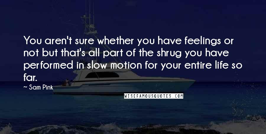 Sam Pink Quotes: You aren't sure whether you have feelings or not but that's all part of the shrug you have performed in slow motion for your entire life so far.