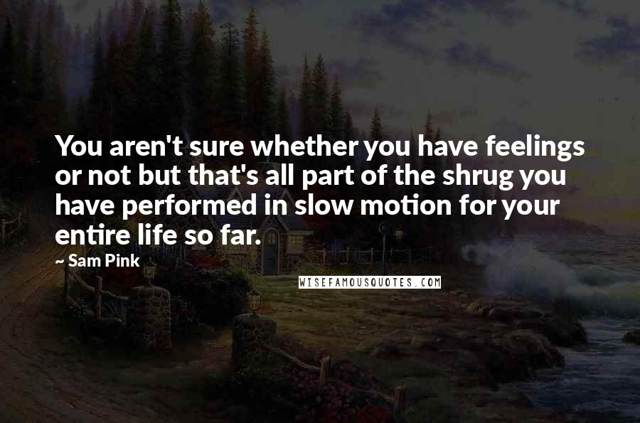 Sam Pink Quotes: You aren't sure whether you have feelings or not but that's all part of the shrug you have performed in slow motion for your entire life so far.