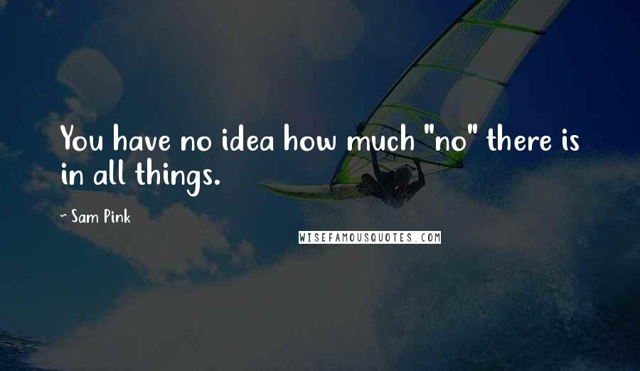 Sam Pink Quotes: You have no idea how much "no" there is in all things.