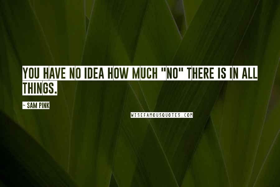 Sam Pink Quotes: You have no idea how much "no" there is in all things.