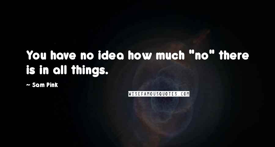 Sam Pink Quotes: You have no idea how much "no" there is in all things.