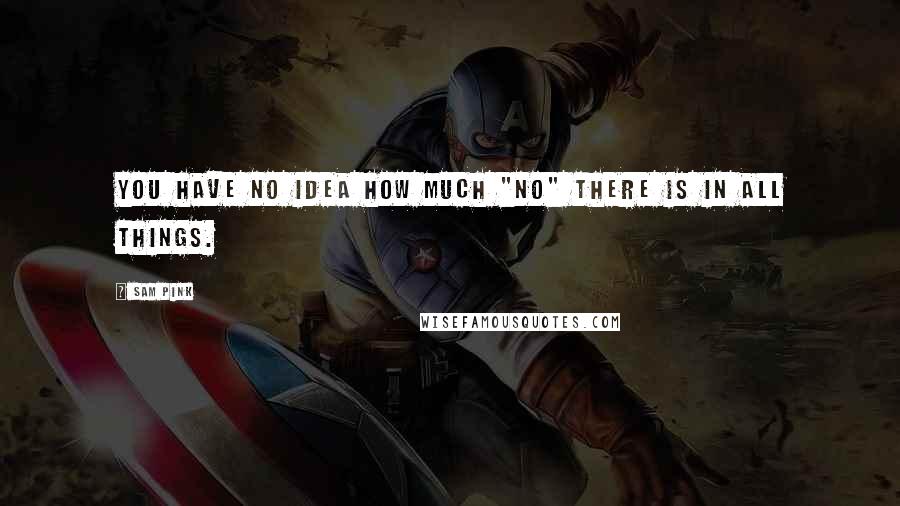 Sam Pink Quotes: You have no idea how much "no" there is in all things.