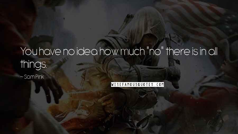 Sam Pink Quotes: You have no idea how much "no" there is in all things.