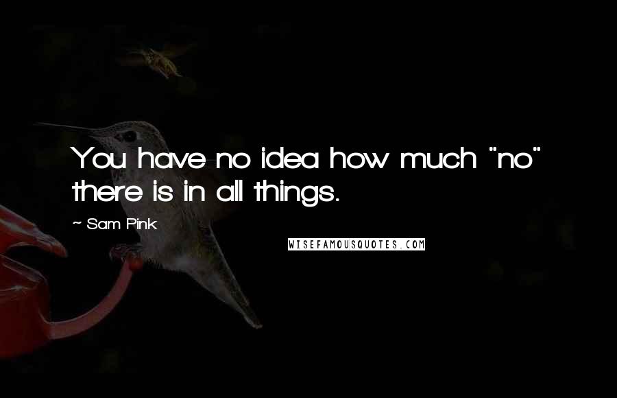 Sam Pink Quotes: You have no idea how much "no" there is in all things.