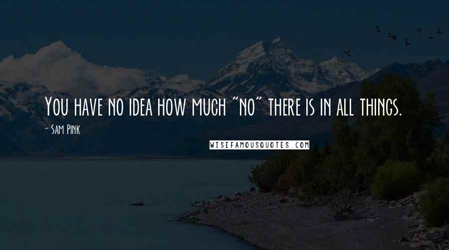 Sam Pink Quotes: You have no idea how much "no" there is in all things.