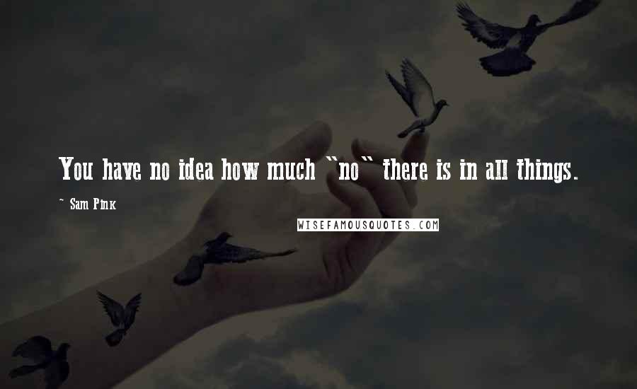 Sam Pink Quotes: You have no idea how much "no" there is in all things.
