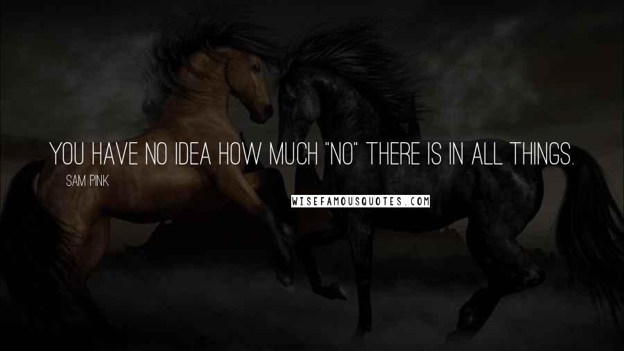 Sam Pink Quotes: You have no idea how much "no" there is in all things.