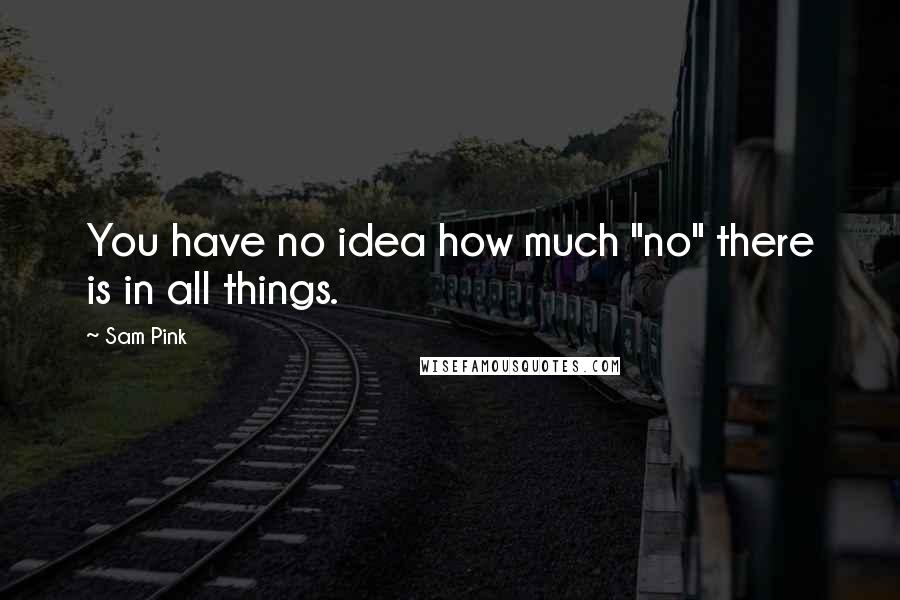 Sam Pink Quotes: You have no idea how much "no" there is in all things.