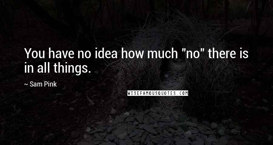Sam Pink Quotes: You have no idea how much "no" there is in all things.