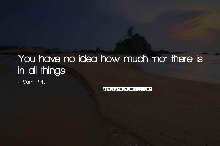 Sam Pink Quotes: You have no idea how much "no" there is in all things.