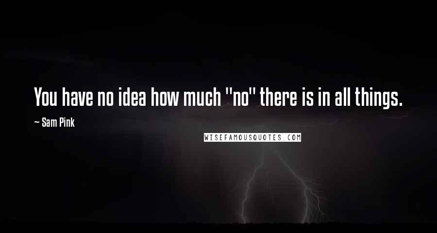 Sam Pink Quotes: You have no idea how much "no" there is in all things.
