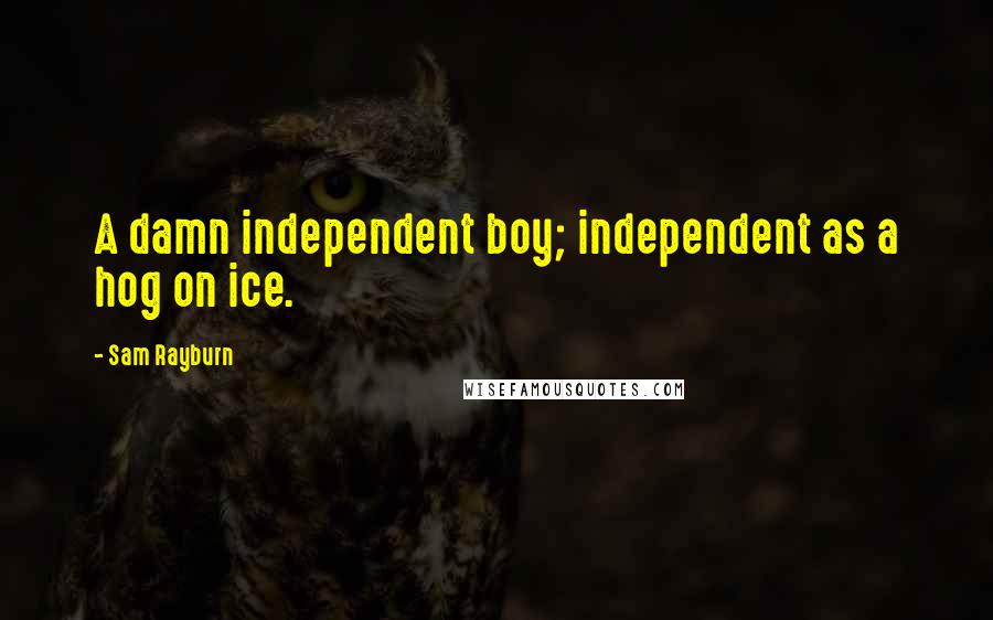 Sam Rayburn Quotes: A damn independent boy; independent as a hog on ice.