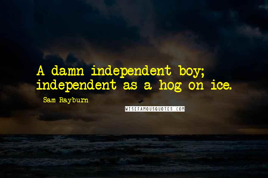 Sam Rayburn Quotes: A damn independent boy; independent as a hog on ice.