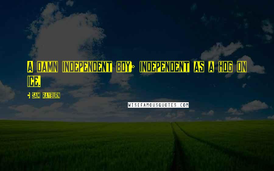Sam Rayburn Quotes: A damn independent boy; independent as a hog on ice.