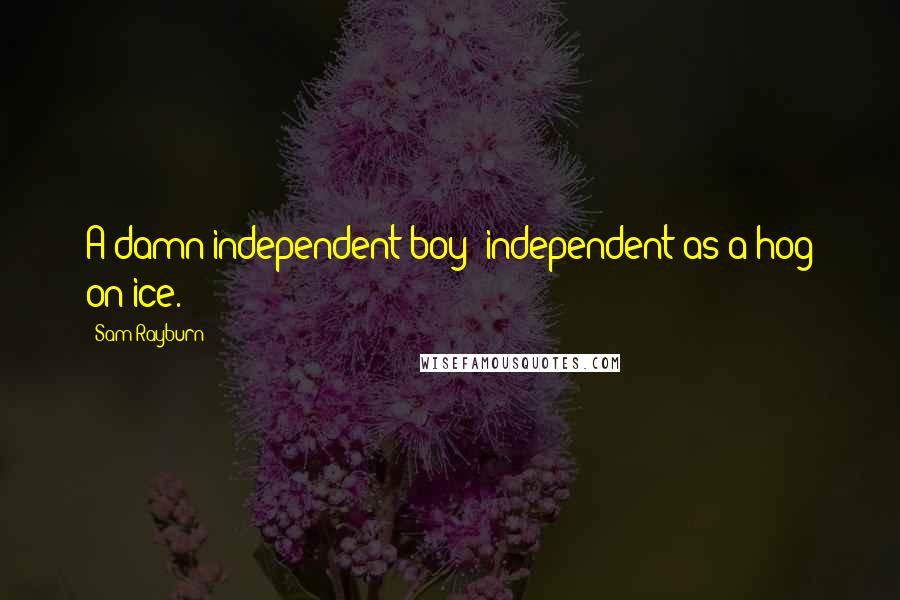 Sam Rayburn Quotes: A damn independent boy; independent as a hog on ice.
