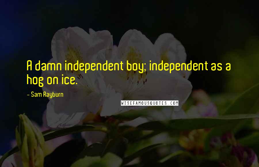 Sam Rayburn Quotes: A damn independent boy; independent as a hog on ice.