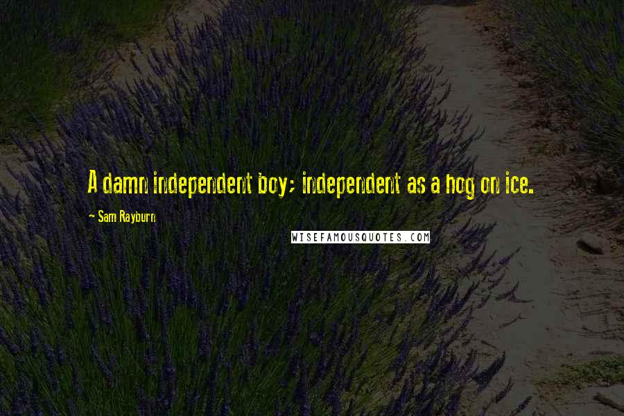 Sam Rayburn Quotes: A damn independent boy; independent as a hog on ice.