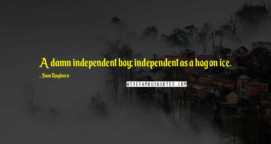 Sam Rayburn Quotes: A damn independent boy; independent as a hog on ice.